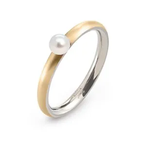 0145-02 Boccia Titanium Ring
