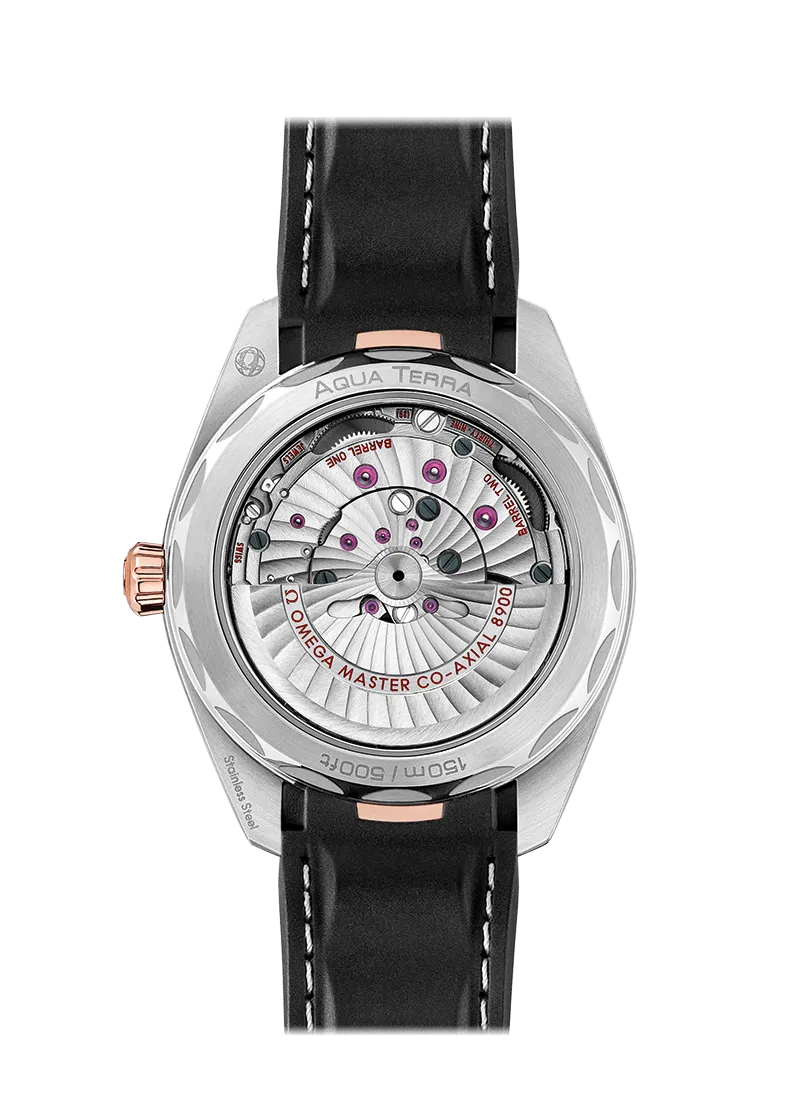 Aqua Terra 150M Omega Co‑Axial Master Chronometer 41 MM
