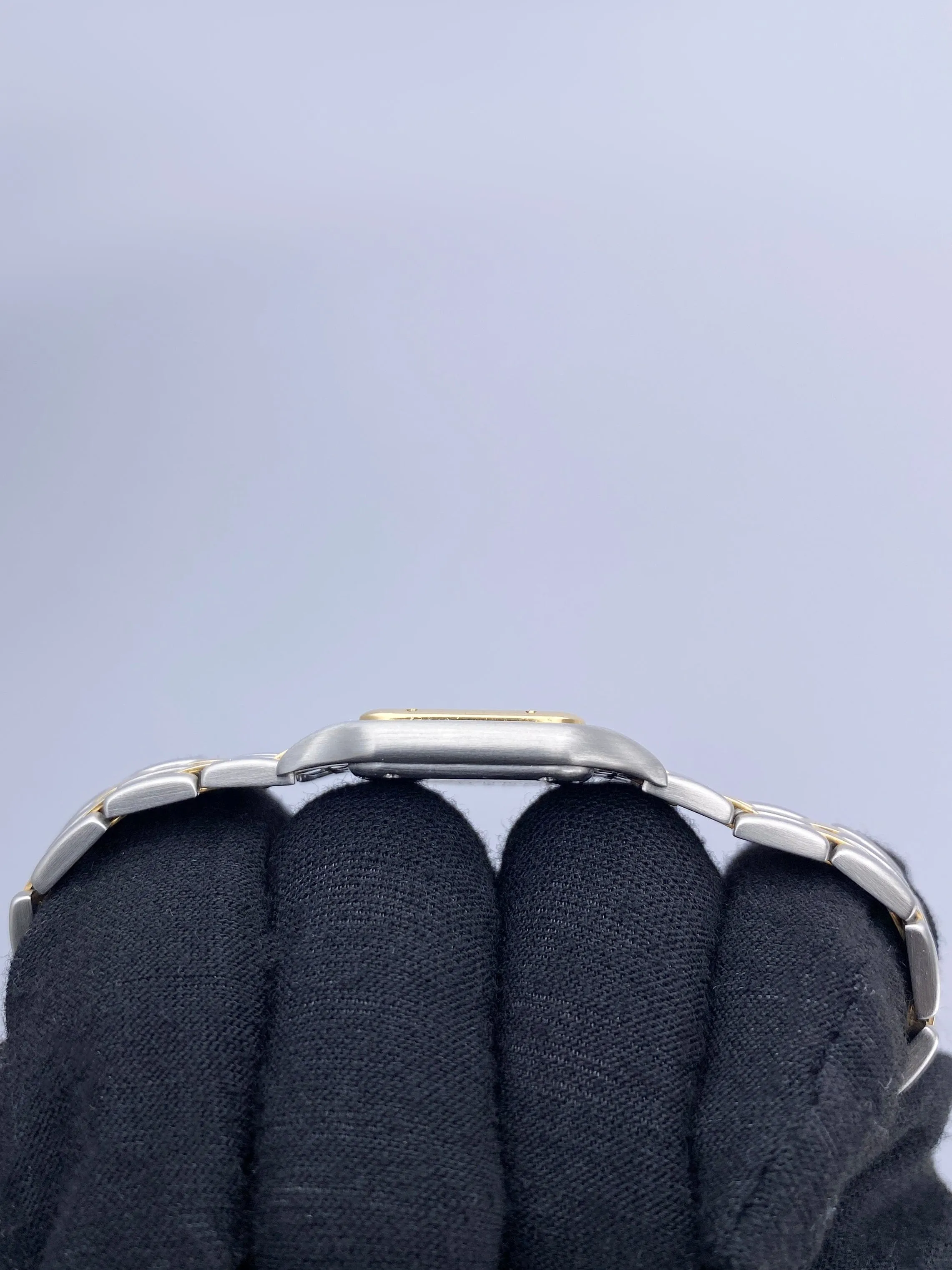 Cartier Panthere W25029B6 Two Rows Ladies Watch
