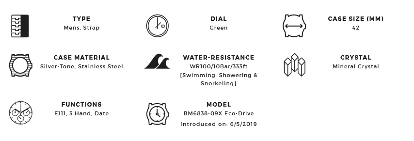 Citizen Eco Drive Garrison