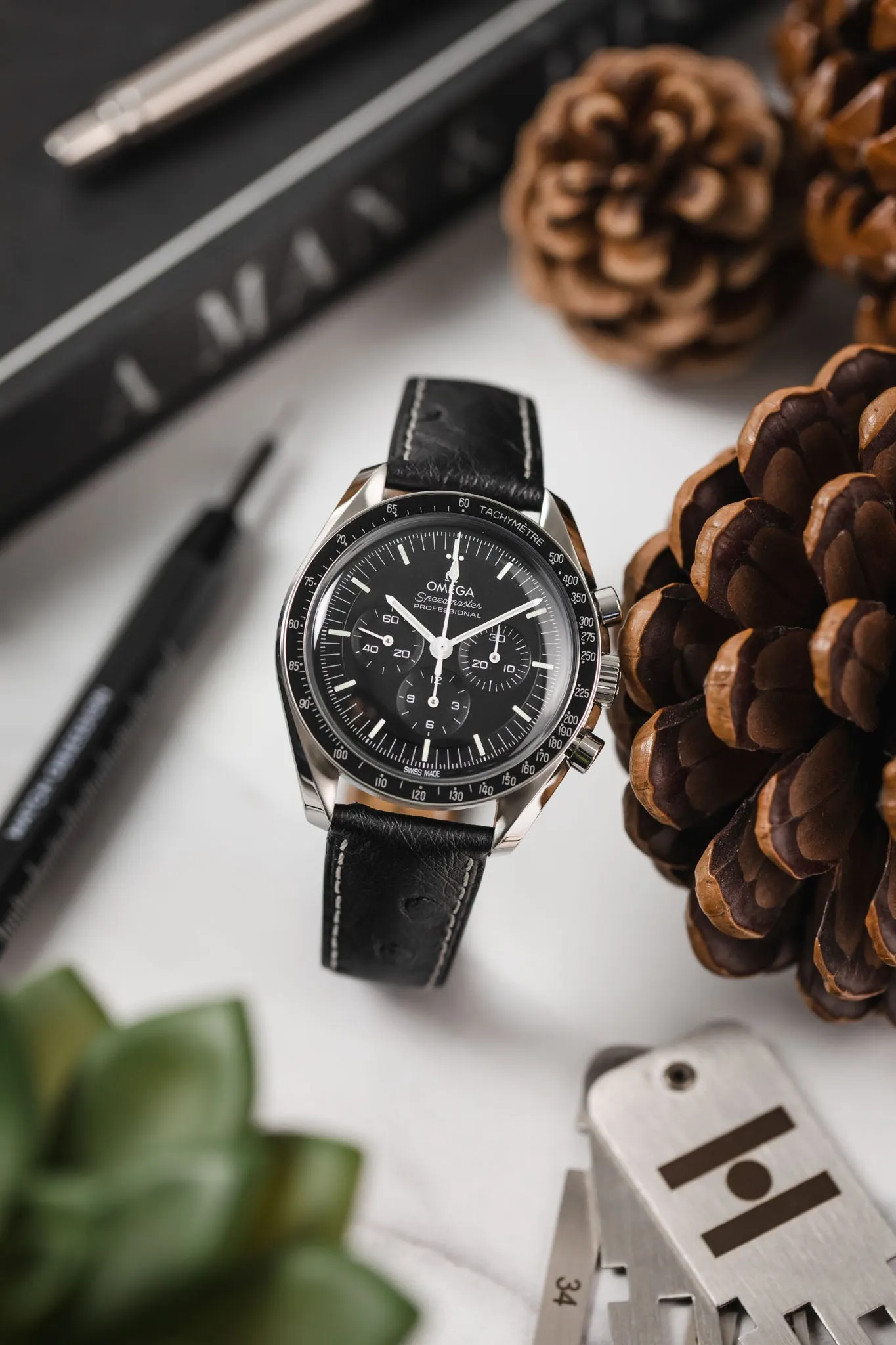 Hirsch MASSAI OSTRICH Leather Watch Strap in BLACK with WHITE Stitching