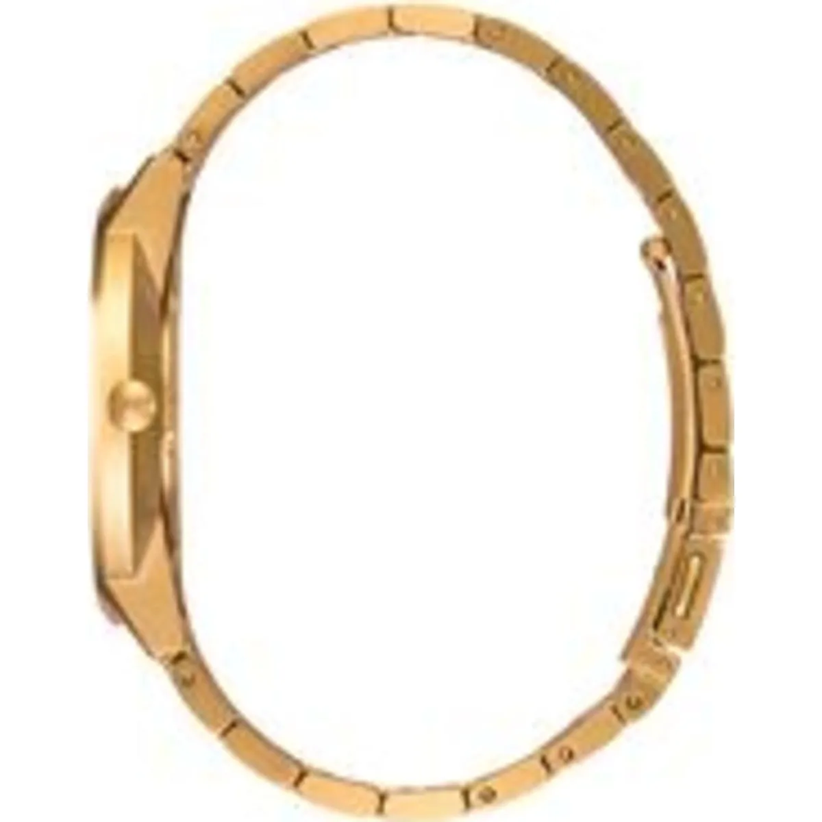 Porter - All Gold / White Sunray