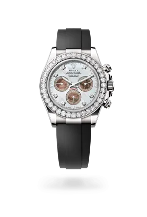 Rolex Cosmograph Daytona in 18 kt white gold, M126589RBR-0001 | Walters & Hogsett