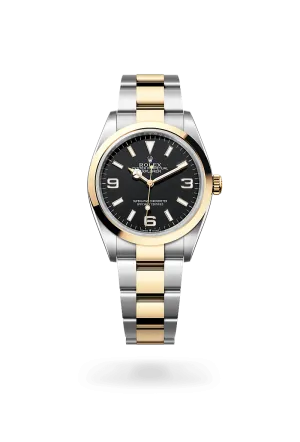 Rolex Explorer 36 in Yellow Rolesor - combination of Oystersteel and yellow gold, M124273-0001 | Walters & Hogsett