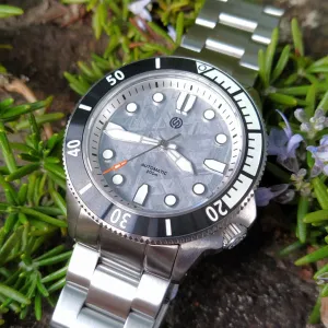 Signum Cuda Natural Grey Meteorite (38/40mm&nbsp;&&nbsp;42/44mm)