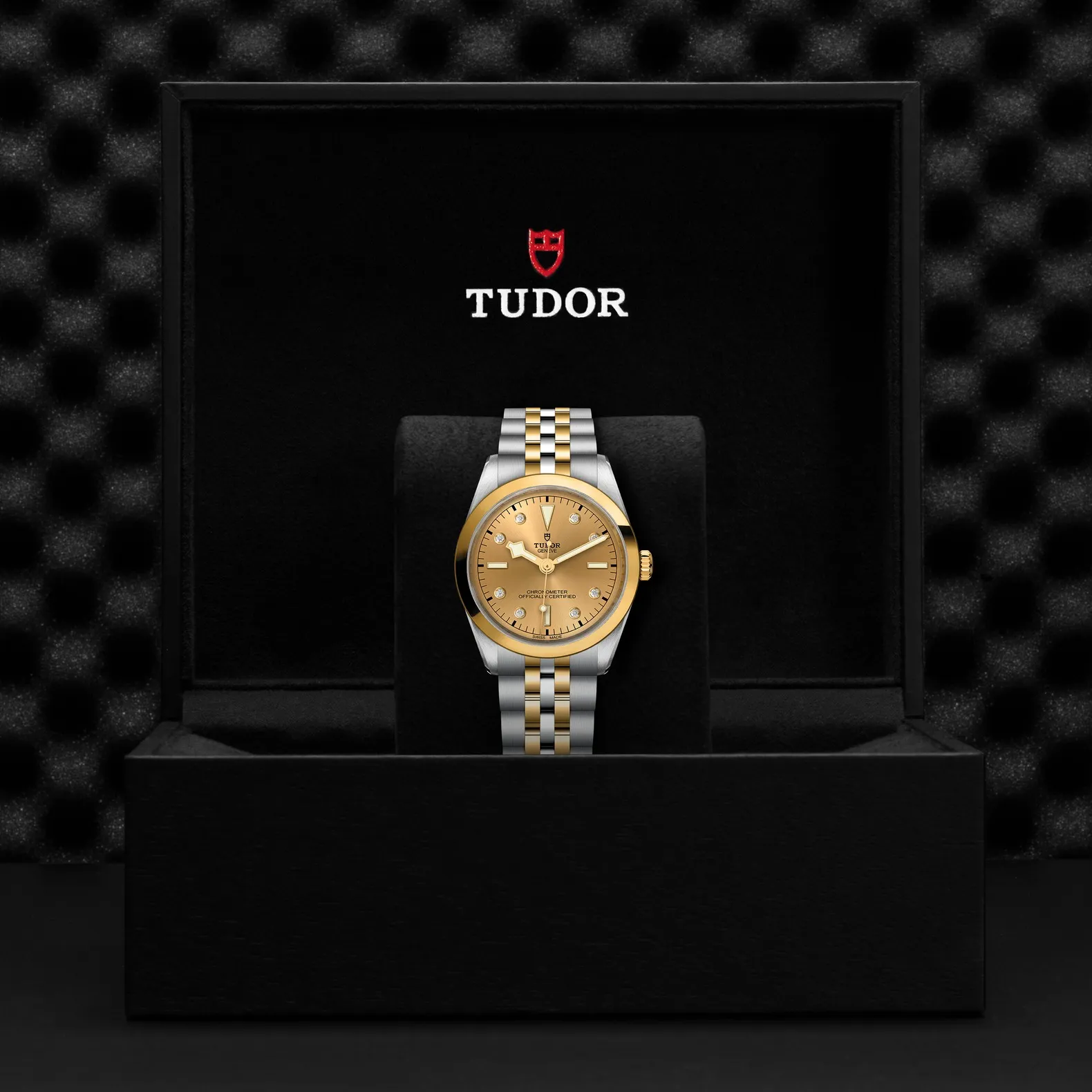 Tudor Black Bay 36 S&G