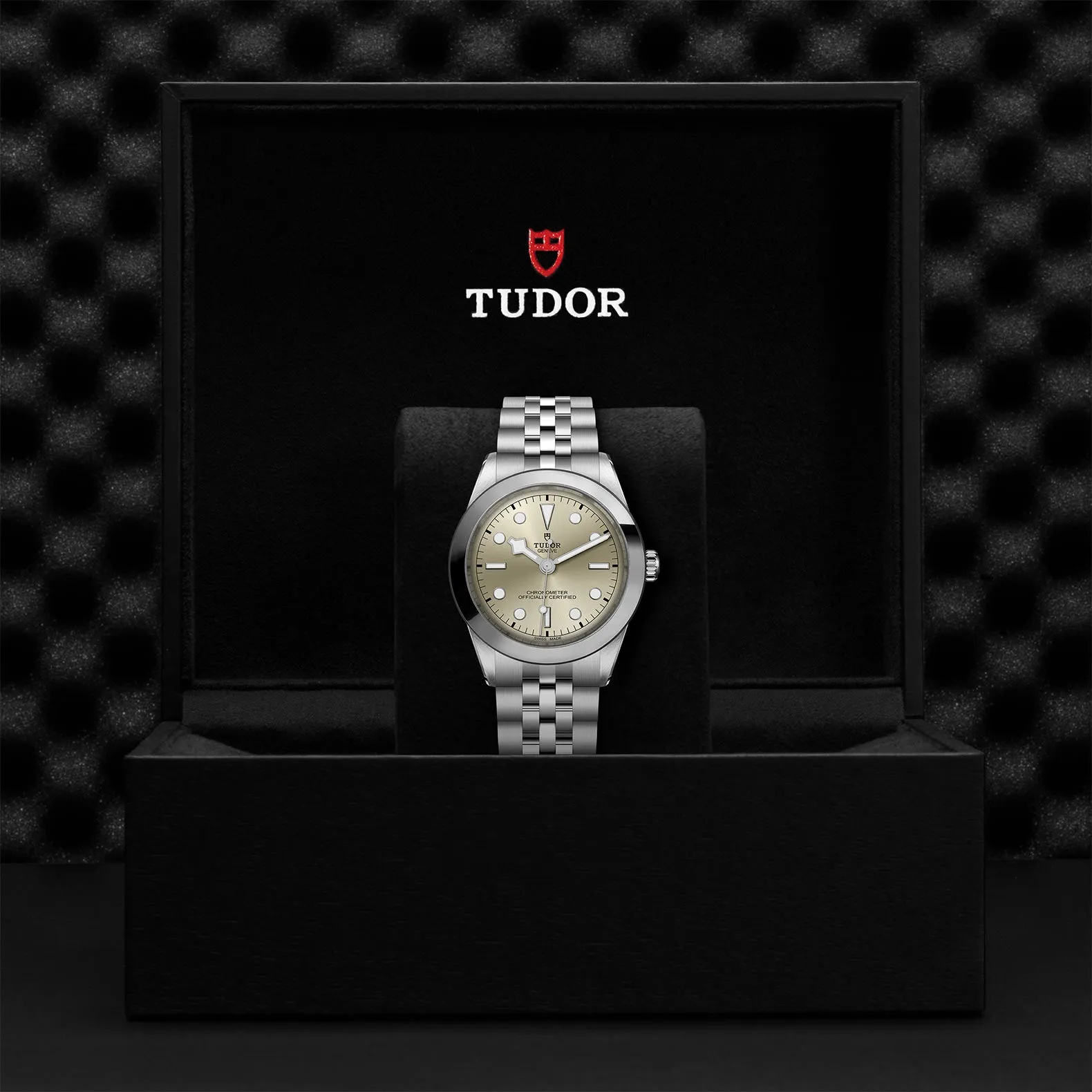 TUDOR Black Bay 39mm Case, Light Champagne Dial, Steel Strap (M79660-0003)